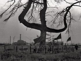 Чернобыль. фото