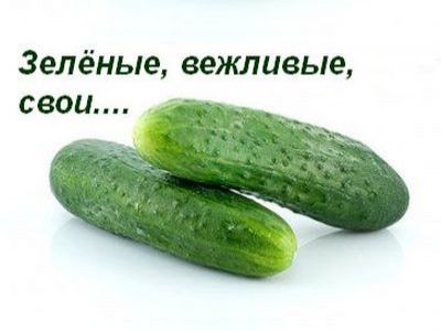 Зелёные, вежливые, свои... Фото: Каспаров.Ru