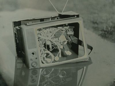 Телевизор в луже. Фото: transpositions.co.uk