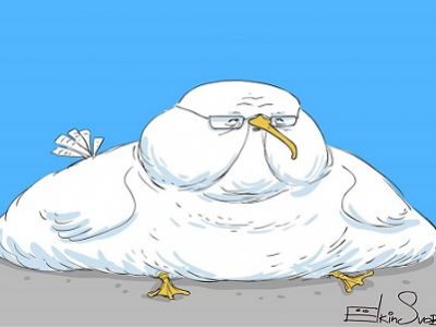 Чайка. Карикатура: С. Елкин