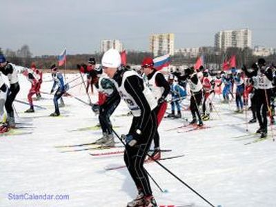 Лыжники в Битце. Фото: lentaregion.ru