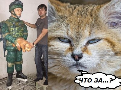 Кот не одобряет памятник "зеленому человечку".  Коллаж: Каспаров.Ru