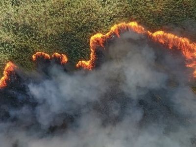 Пожар в Черновских плавнях. Фото: greenpeace.org