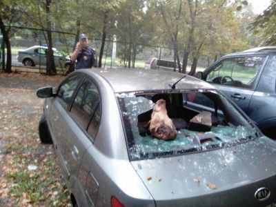 Разбитый автомобиль Виталия Третьюхина. Фото с личной страницы Facebook