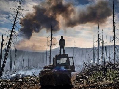Лесные пожары в Сибири. Фото: kafanews.com